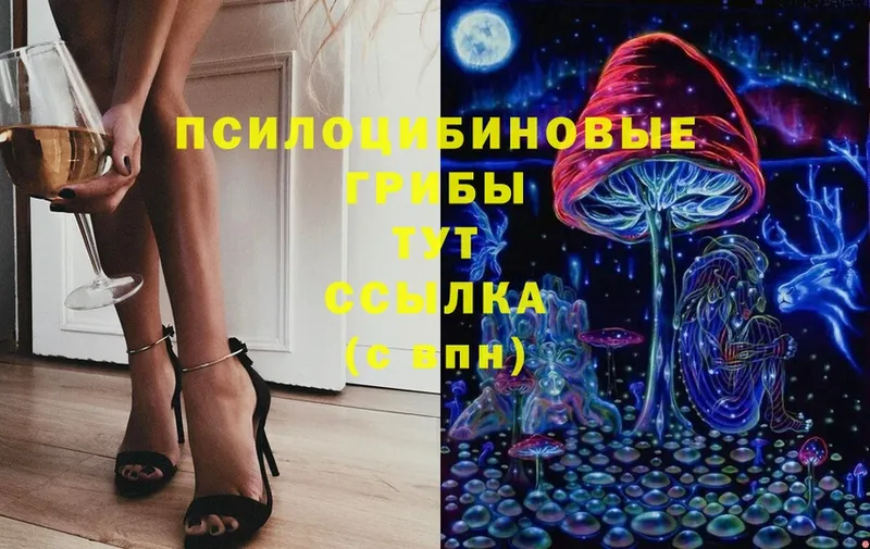 мориарти клад  мега   Котово  Галлюциногенные грибы Cubensis 